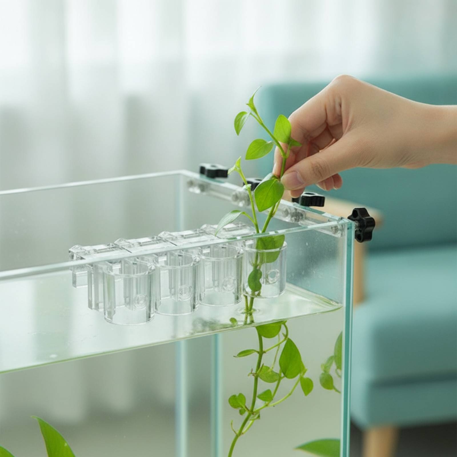 Aquarium Planted Plants - 6 sztuk przezroczystych klipsów do hydroponiki