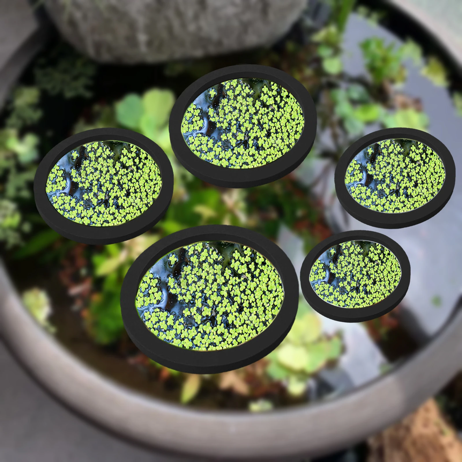 Aquarium Planted Plants - 5Pcs EVA Pierścień do karmienia ryb
