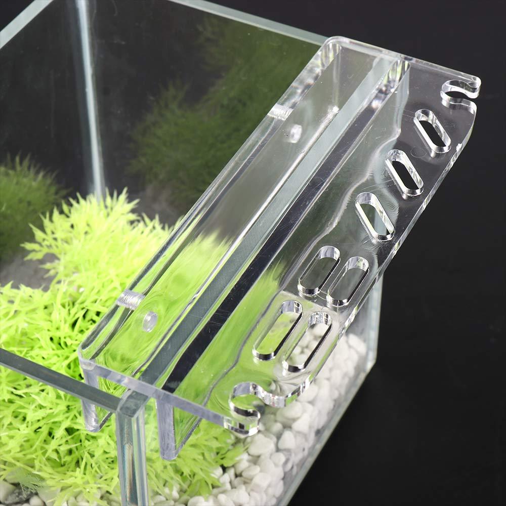 Planted Aquarium Maintenance - Stojak na akcesoria do czyszczenia akwarium,