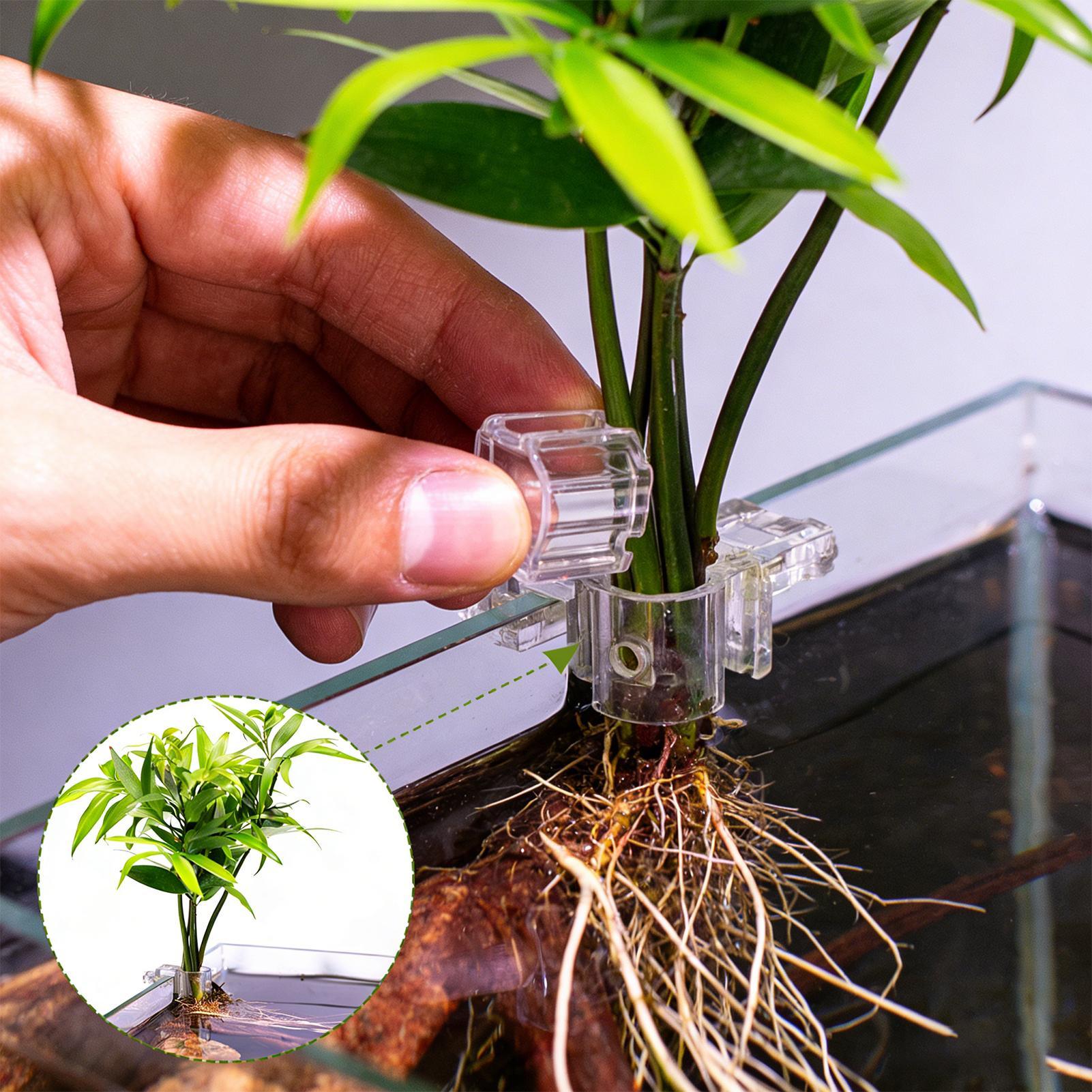 Aquarium Plant Ornament - 6 szt. Przezroczyste uchwyty do roślin