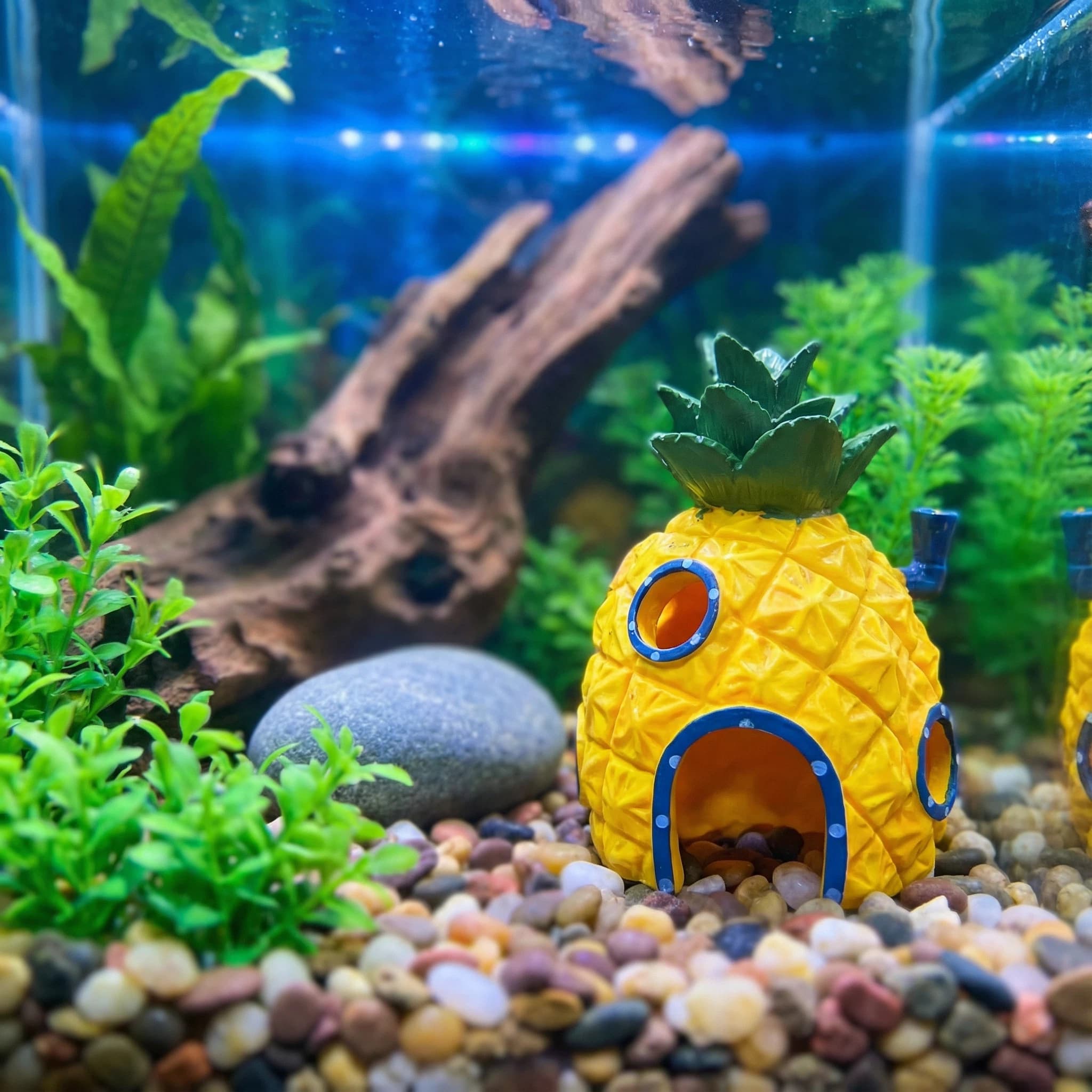 Aquarium Plant Ornament - Dekoracja akwariowa w kształcie ananasa, ekologiczna
