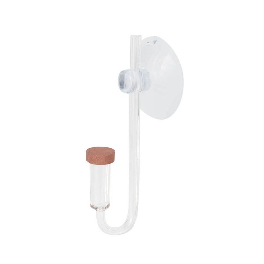 Planted Aquarium Accessories - Akrylowy Mini Akwarium Rośliny Żywe Atomizer