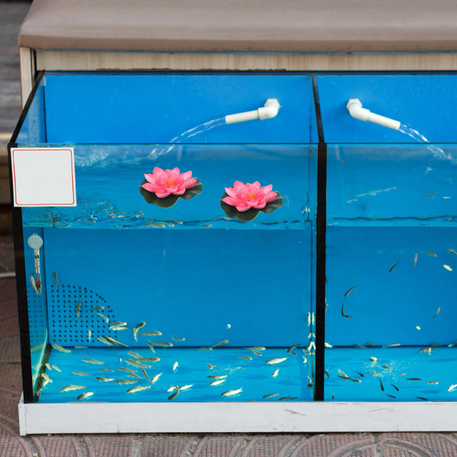12 sztuk sztucznych pływającyc – Aquarium Planted Plants recenzja i cena