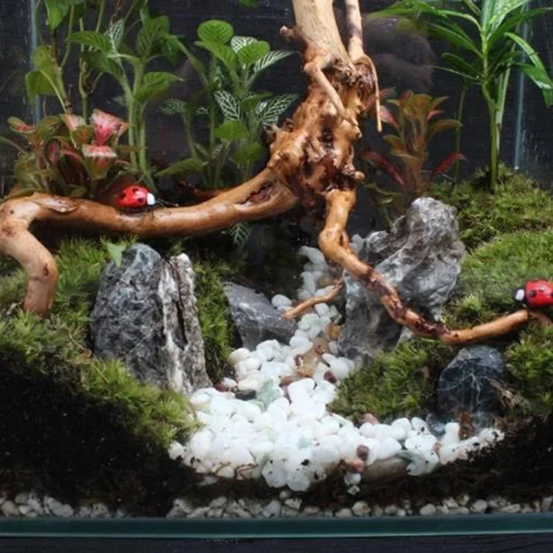 Naturalne drzewo pnia Driftwoo – Aquarium Plant Ornament recenzja i cena