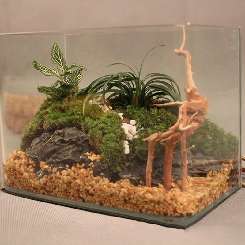 Naturalne drzewo pnia Driftwoo – Aquarium Plant Ornament recenzja i cena