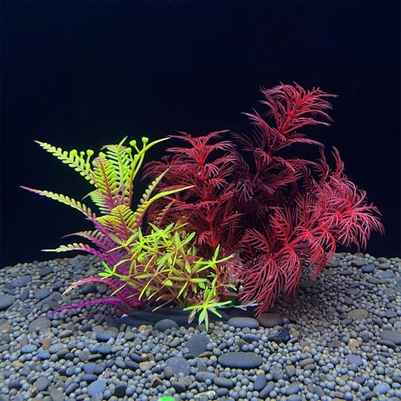 Sztuczna roślina dekoracyjna d – Planted Aquarium For Sale recenzja i cena