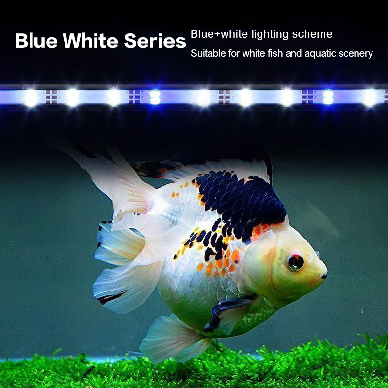 Lampa akwariowa LED z wtyczką  – Aquarium Planted Tank Light recenzja i cena