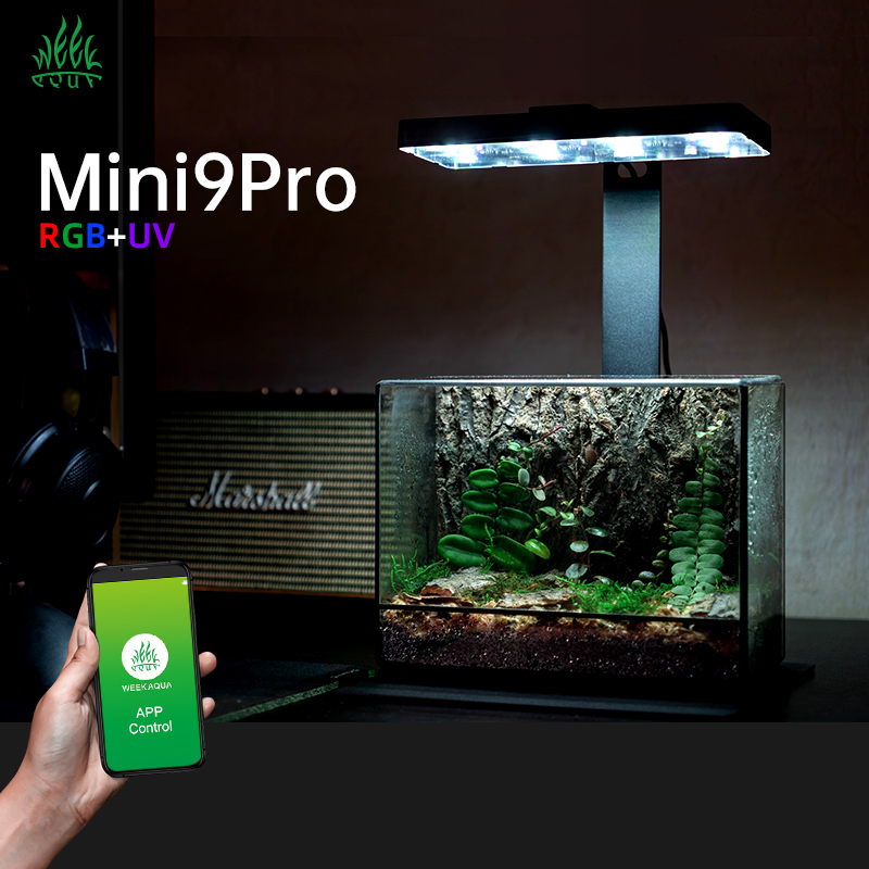Gorąca Wyprzedaż Mini9pro Nano – Planted Aquarium For Sale recenzja i cena