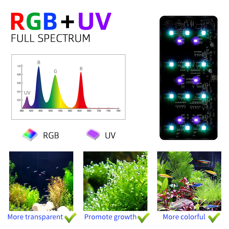 Gorąca Wyprzedaż Mini9pro Nano – Planted Aquarium For Sale recenzja i cena