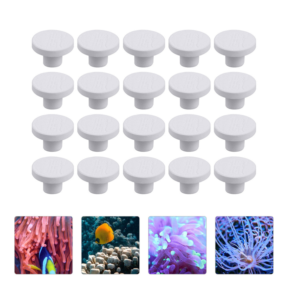 Podstawki ceramiczne SPS do ko – Aquarium Plant Ornament recenzja i cena