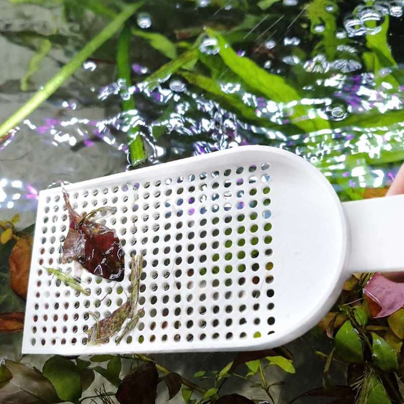 Siatka do usuwania zanieczyszc – Planted Aquarium Maintenance recenzja i cena