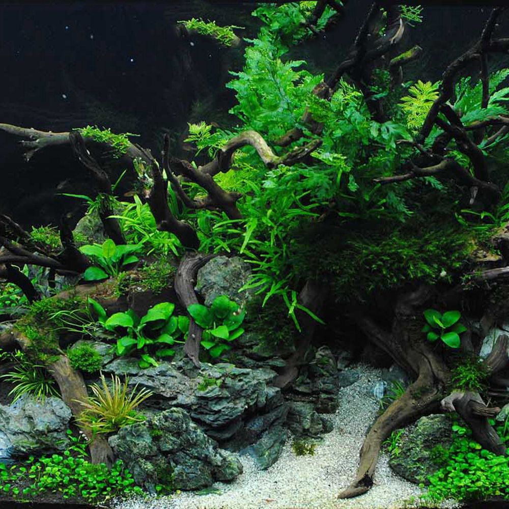 Drewno N1N Dekoracja do akwari – Aquarium Plant Ornament recenzja i cena