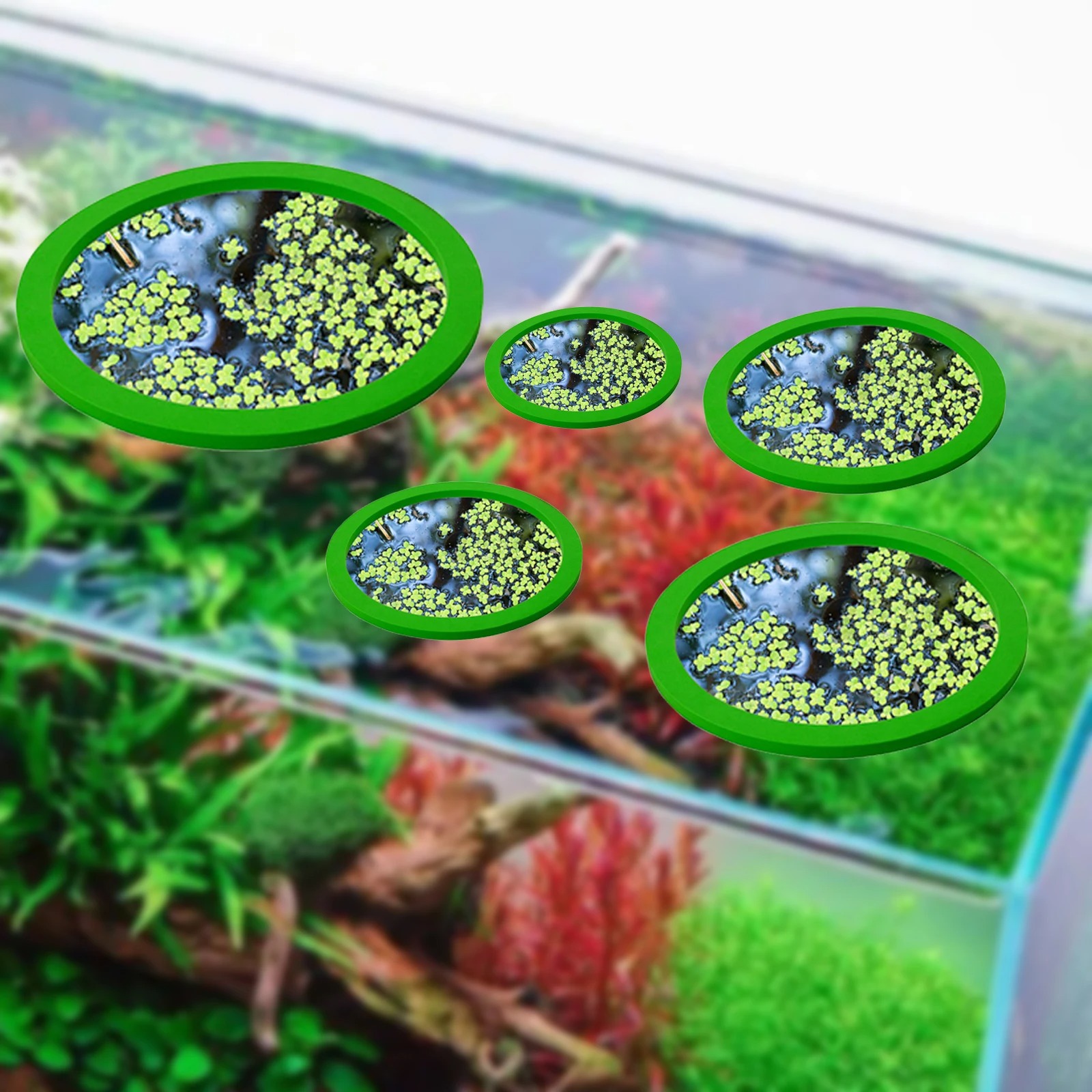 5Pcs EVA Pierścień do karmieni – Aquarium Planted Plants recenzja i cena
