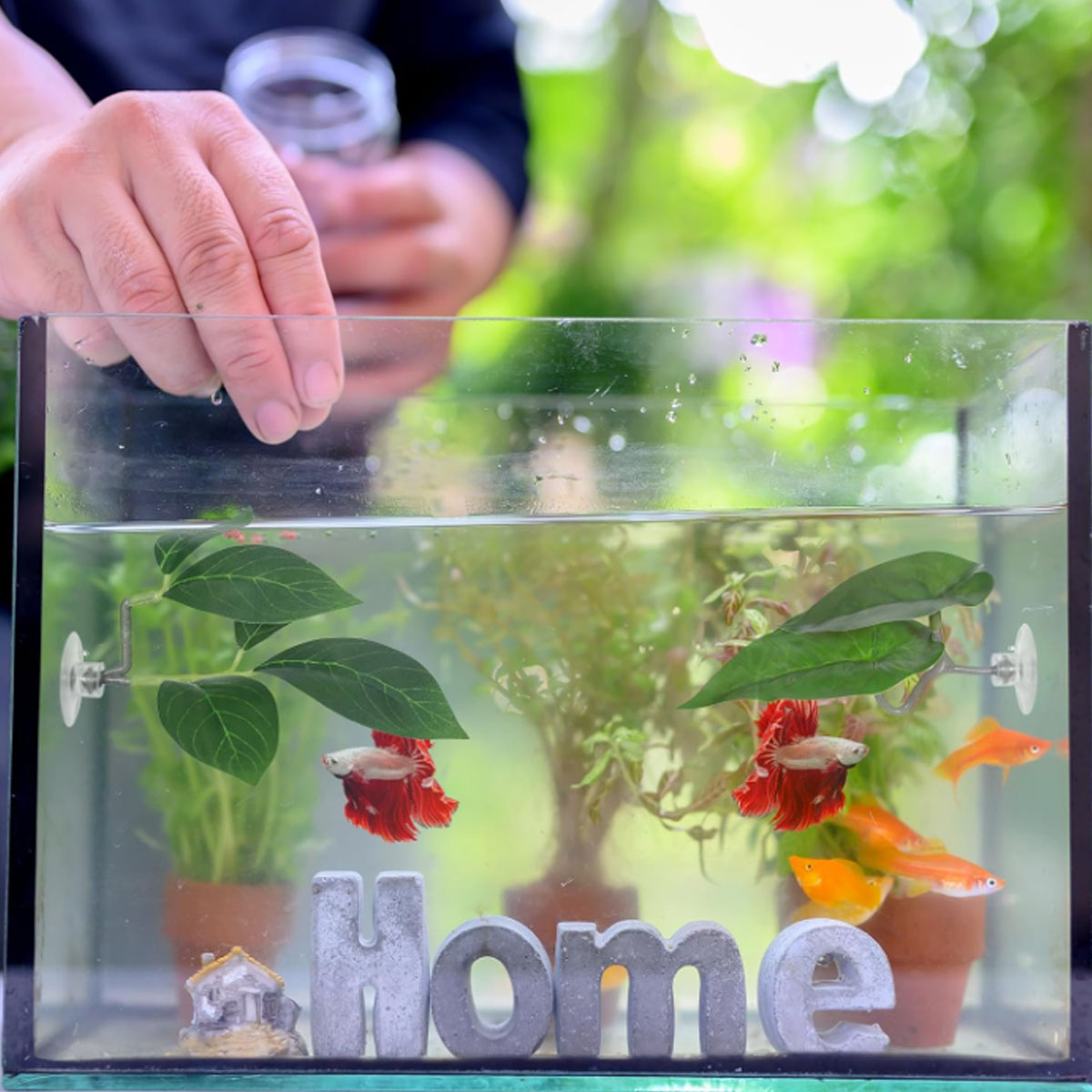 Hamak dla rybki Betta, miękki  – Aquarium Plant Ornament recenzja i cena
