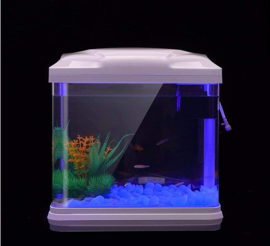 Fish Tank Rocks Glow Blue Pebb – Aquarium Planted Plants recenzja i cena
