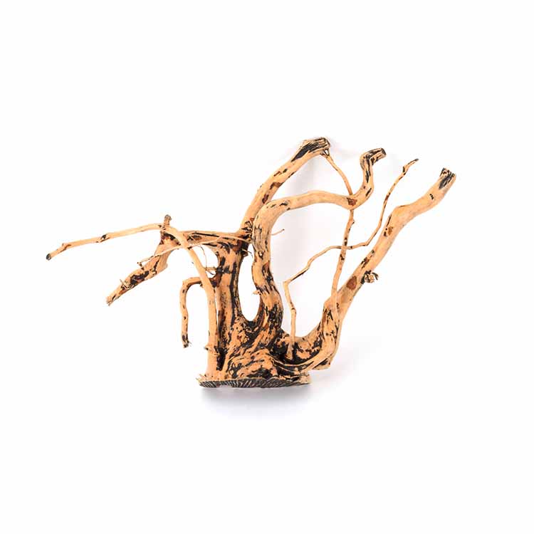 Hurtowa Sprzedaż Naturalnych D – Planted Aquarium For Sale recenzja i cena