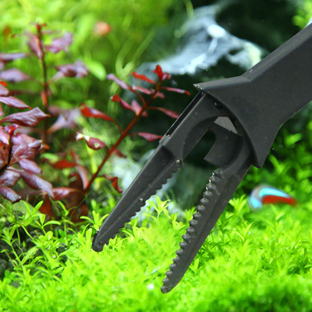 Pęseta do roślin wodnych w akw – Planted Aquarium Maintenance recenzja i cena