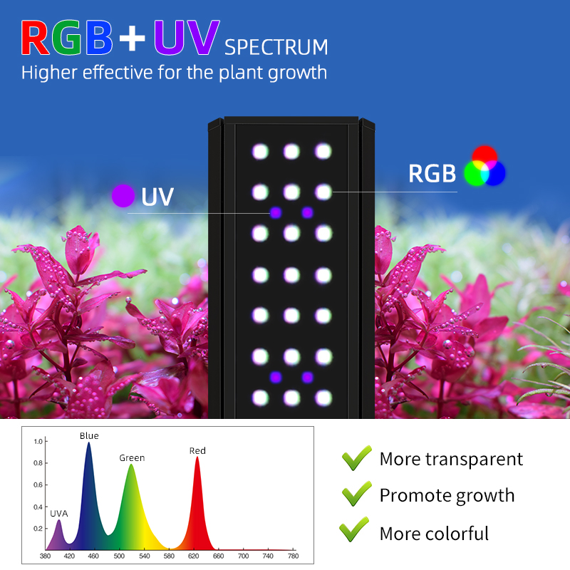 M300D1 PRO Gorąca Wyprzedaż RG – Planted Aquarium For Sale recenzja i cena