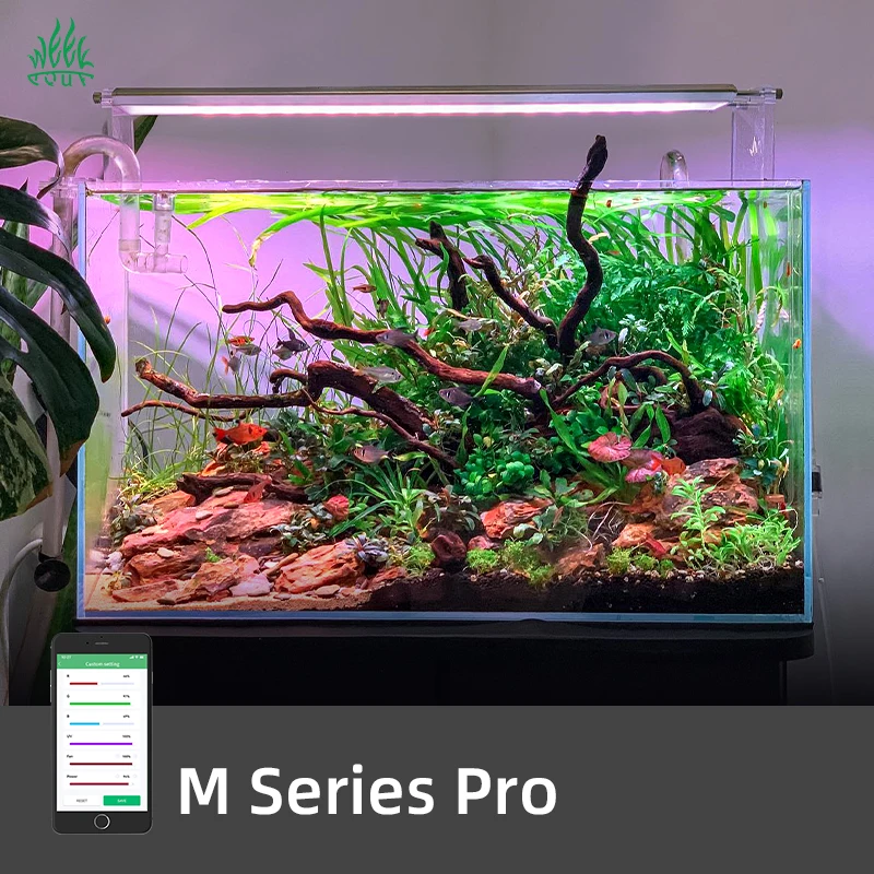 ZXY Gorąca Sprzedaż TYDNIOWA O – Planted Aquarium For Sale recenzja i cena