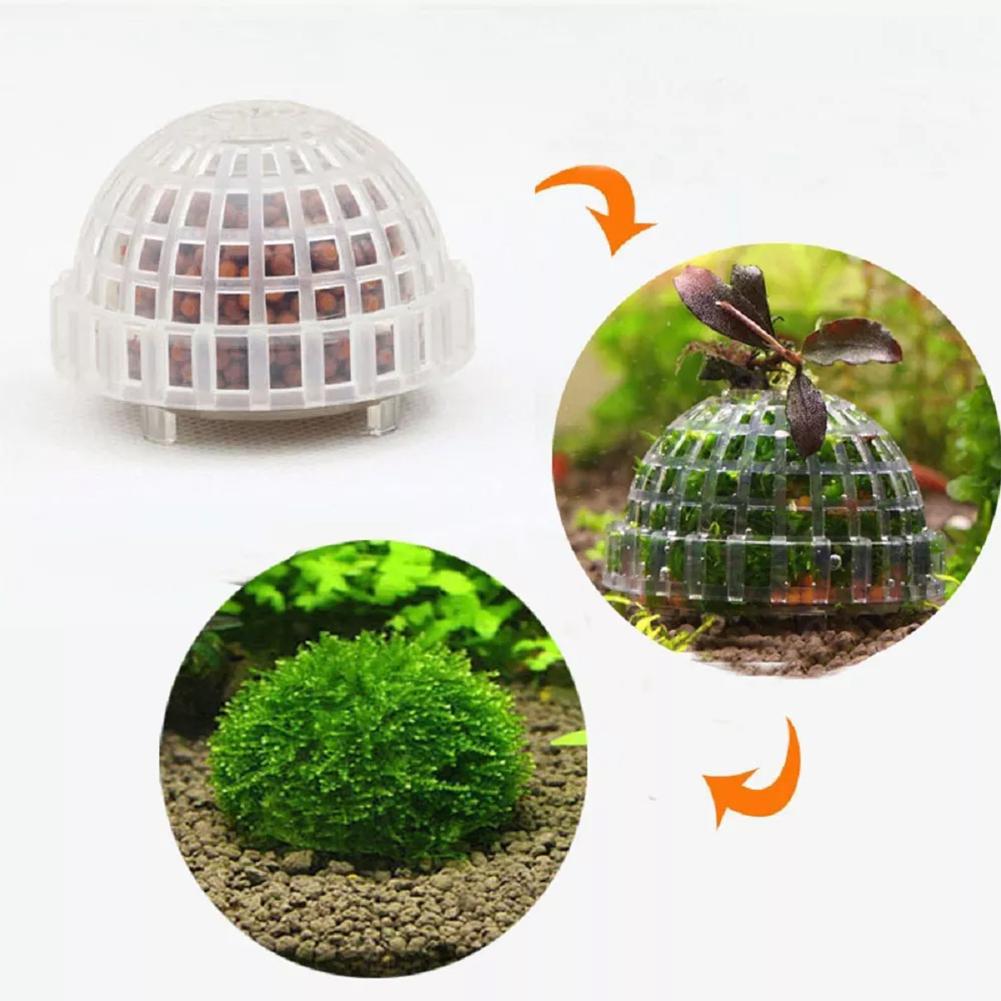 1 szt. Akcesoria dla zwierząt  – Planted Aquarium Maintenance recenzja i cena