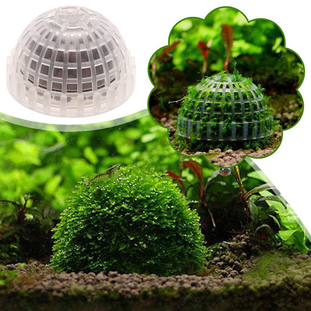 1 szt. Akcesoria dla zwierząt  – Planted Aquarium Maintenance recenzja i cena