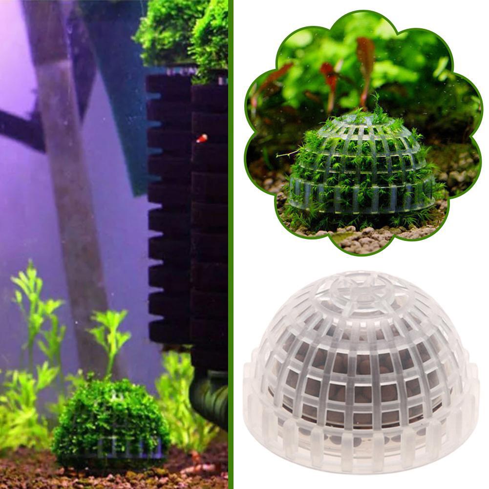 1 szt. Akcesoria dla zwierząt  – Planted Aquarium Maintenance recenzja i cena