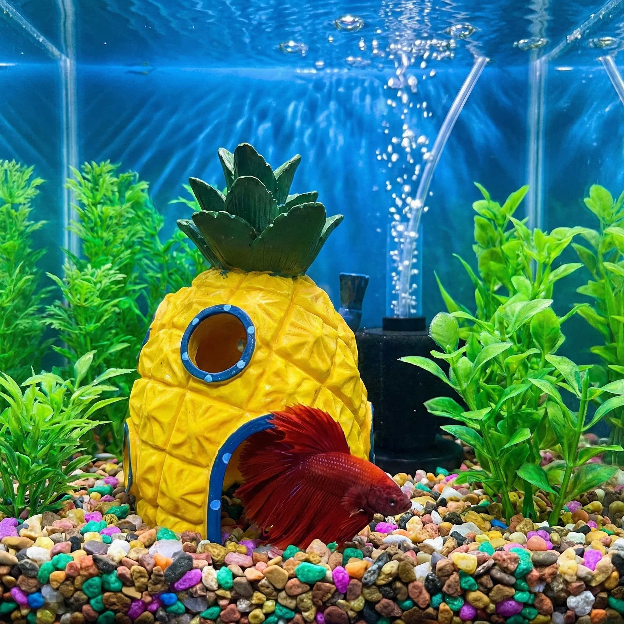 Dekoracja akwariowa w kształci – Aquarium Plant Ornament recenzja i cena