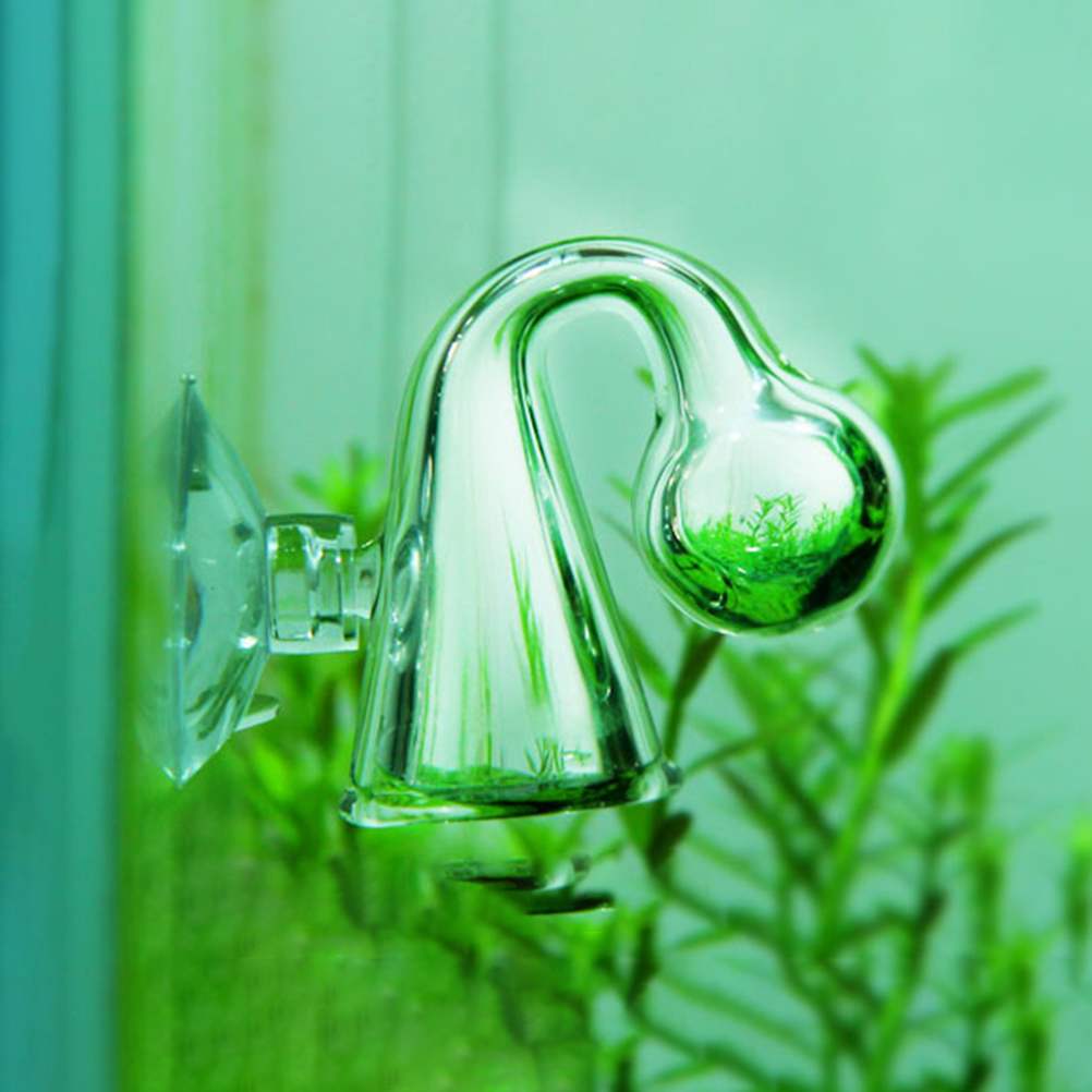 Akwarium CO2 Dyfuzyjny szklany – Planted Aquarium Accessories recenzja i cena